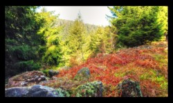 Vers la Haute Loge Vers la Haute Loge