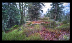 Sur le Grand Rosskopf Sur le Grand Rosskopf