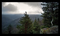 Depuis le rocher du Rosskopf Depuis le rocher du Rosskopf