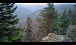 Depuis le rocher du Rosskopf Depuis le rocher du Rosskopf