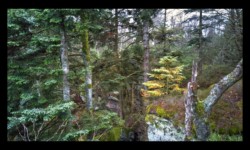 Rocher du Rosskopf Rocher du Rosskopf