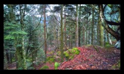 Steinerne Maennel Steinerne Maennel