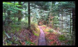 Avant d'arriver à la MF du Spitzberg