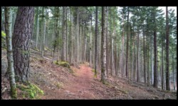 Entre Jaegerhof et la Croix du Loup Entre Jaegerhof et la Croix du Loup