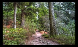 en allant vers la Schleif en allant vers la Schleif