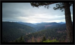 Saint Quirin - Vue depuis Belle Roche Saint Quirin - Vue depuis Belle Roche