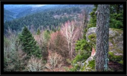 Saint Quirin - Vue depuis Belle Roche Saint Quirin - Vue depuis Belle Roche