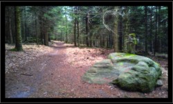 Pierre Saint Quirin Pierre Saint Quirin