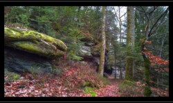 Saint Quirin - Vers la grotte des Bacelles Saint Quirin - Vers la grotte des Bacelles