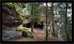 Saint Quirin - grotte des Bacelles Saint Quirin - grotte des Bacelles