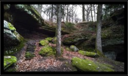 Saint Quirin - grotte des Bacelles Saint Quirin - grotte des Bacelles