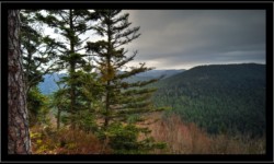 Saint Quirin - Vue depuis Belle Roche Saint Quirin - Vue depuis Belle Roche