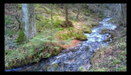 La rivière du Canceley La rivière du Canceley