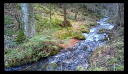 La rivière du Canceley La rivière du Canceley
