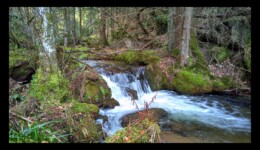Cascade sur la rivière du Canceley La rivière du Canceley