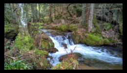 Cascade sur la rivière du Canceley La rivière du Canceley
