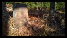 Borne sur le chemin des Bornes Sur le chemin des Bornes