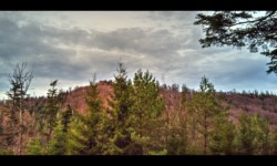 Rocher du Ochsentein Rocher du Ochsentein