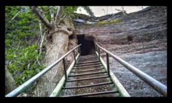 château du Ochsentein château du Ochsentein