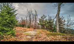 sur le Schlossberg sur le Schlossberg