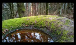 La Pierre des Druides La Pierre des Druides