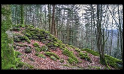 La Pierre des Druides La Pierre des Druides