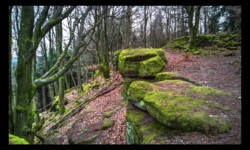 descente du Wuestenberg descente du Wuestenberg