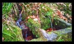 La fontaine Haemmerlin La fontaine Haemmerlin