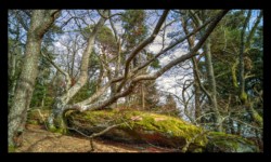 Rocher du Brotsch Rocher du Brotsch