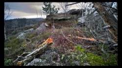 Sommet de la Tête du Noll Sommet de la Tête du Noll