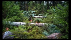 Dégâts près du Melkplatz Dégâts près du Melkplatz