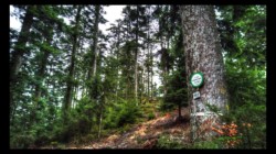 Hunerstkopf Hunerstkopf