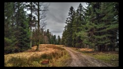 Prairie au pied du Petit Noll Prairie au pied du Petit Noll