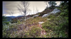 Sommet de la Tête du Noll Sommet de la Tête du Noll