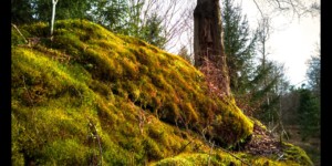 A proximité du Peugstein A proximité du Peugstein