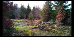 Au sommet du Peugstein Au sommet du Peugstein