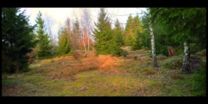 Au sommet du Peugstein Au sommet du Peugstein