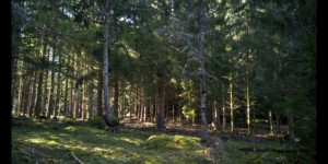 Sous le Grand Rommelstein Sous le Grand Rommelstein