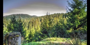 Sur la piste sous le Grand Rommelstein. Vue vers le Bloecherplatz Sur la piste sous le Grand Rommelstein