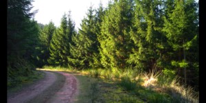 Piste sous le Grand Rommelstein Piste sous le Grand Rommelstein