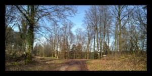 Col du Bloecherplatz Col du Bloecherplatz