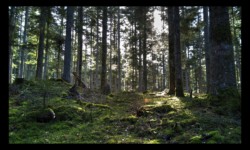 Au départ de Kuhberg Au départ de Kuhberg