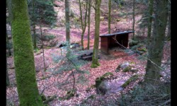 Abri au bord du ruisseau Abri au bord du ruisseau