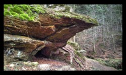 Abri sous roche Abri sous roche