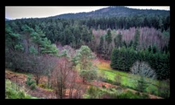 Vallée de Grossthal Vallée de Grossthal