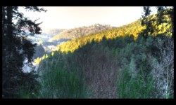 Sur la RF du Traubachthal Sur la RF du Traubachthal