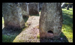 Walscheid - Cimetière gallo-romain Walscheid - Cimetière gallo-romain