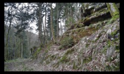 Piste au Schanzkopf Piste au Schanzkopf