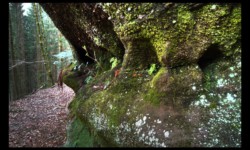 En montant le vallon du Bodeschthal En montant le vallon du Bodeschthal