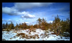 Sommet du Noll Sommet du Noll